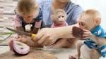 CAPUCHIN MONKEYS AVAILABLE FOR ADOPTION image